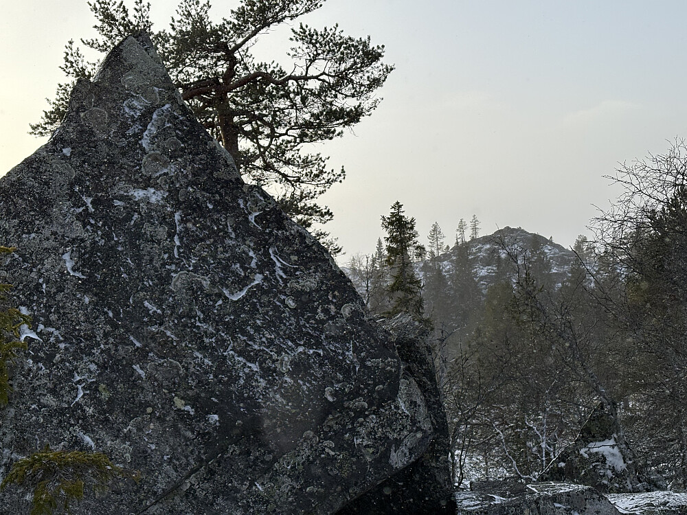 Surten sutrer i bakgrunnen