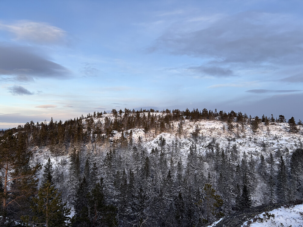 Myrehogget fra Fantegutten