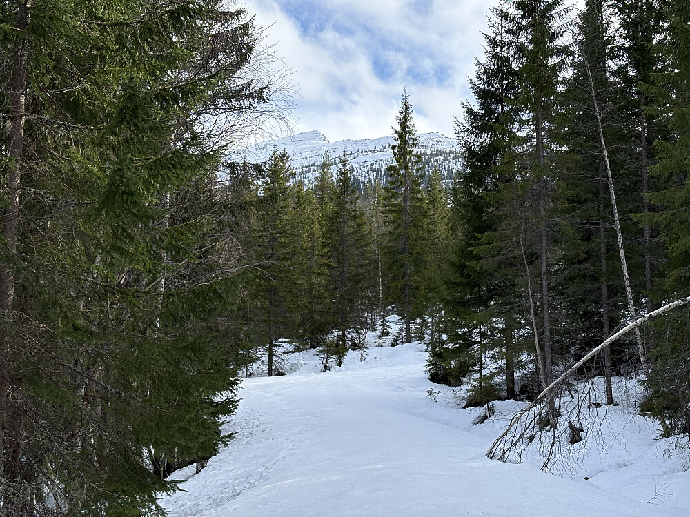 Dagens mål i det fjerne