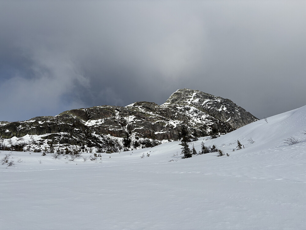 Toppryggen på Himingen fra vest