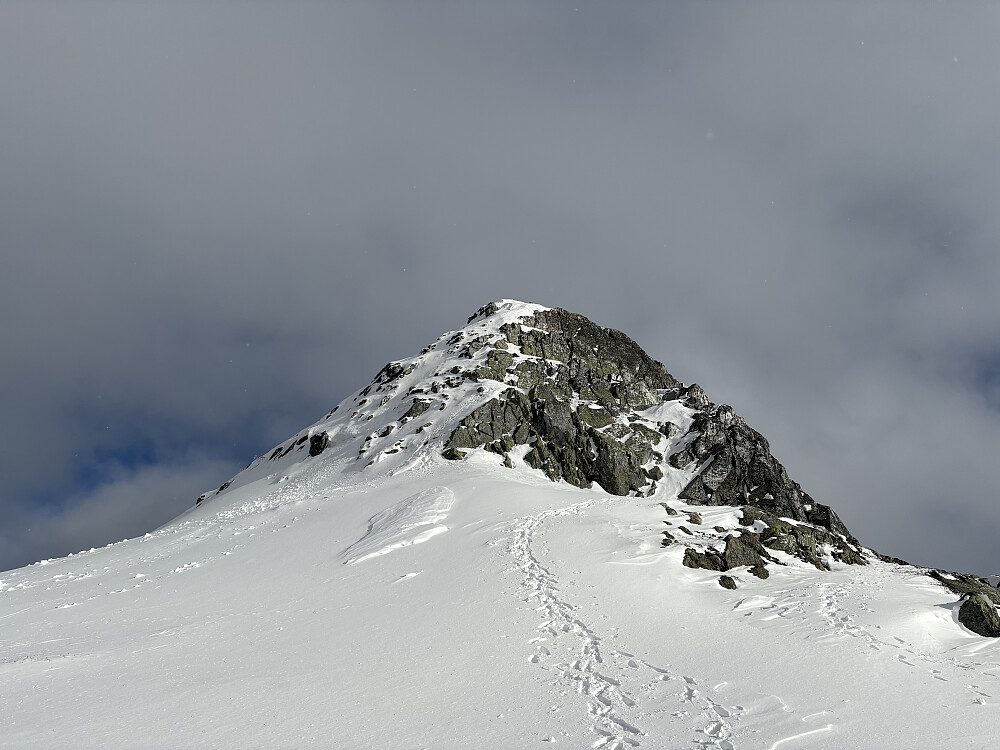 Toppkrona, kløyv opp på bart fjell