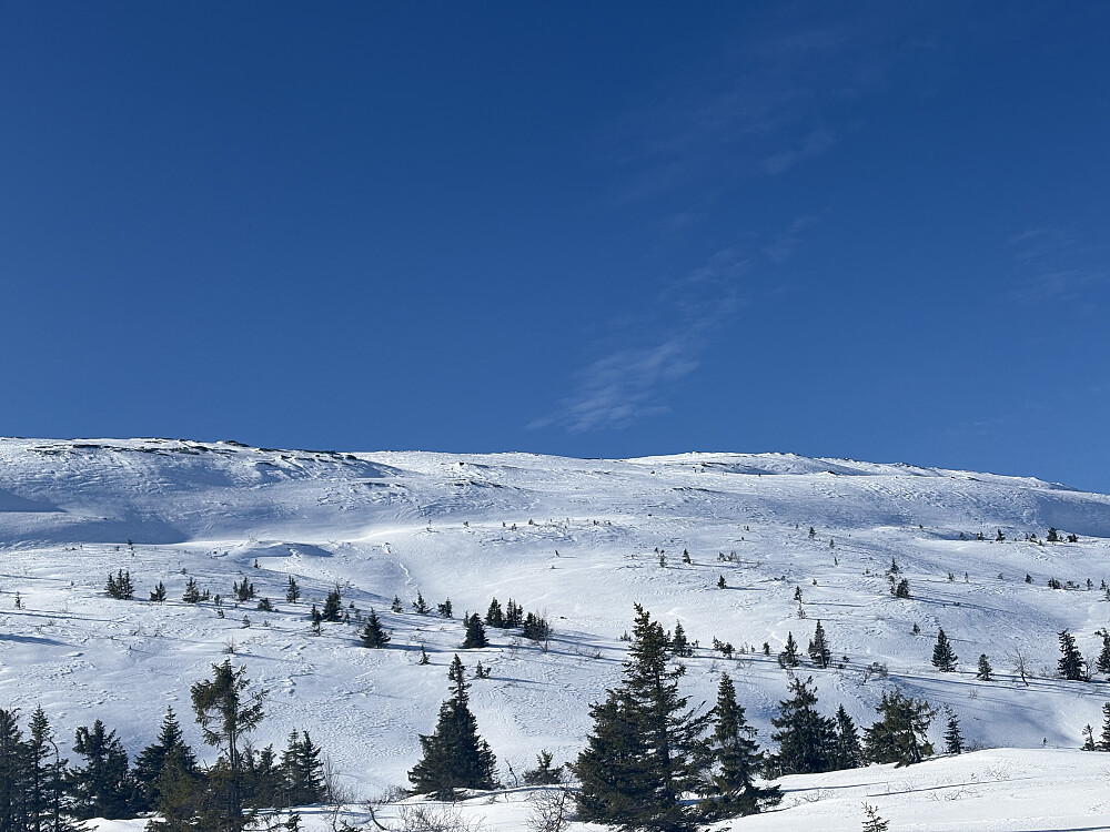 Bak atter en langstrakt vidde(...)