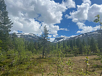 JonnyA_20260607_6a259af87370d.jpg