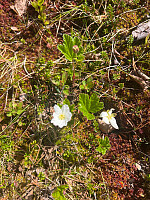 JonnyA_20260607_6a259af89247f.jpg