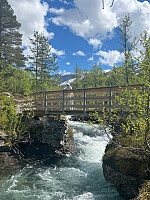 JonnyA_20260607_6a259af8b505a.jpg