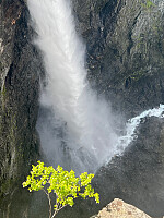 JonnyA_20260607_6a259af8ce1f6.jpg