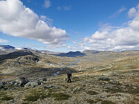 Vi er kommet godt opp fra Rallarvegen (ca 1380 moh).