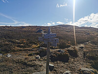 Stikrysset jeg la fra meg sekken. 