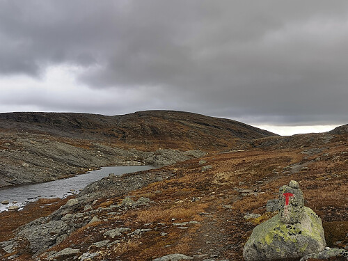 Har fått øye på Skinfjellet.