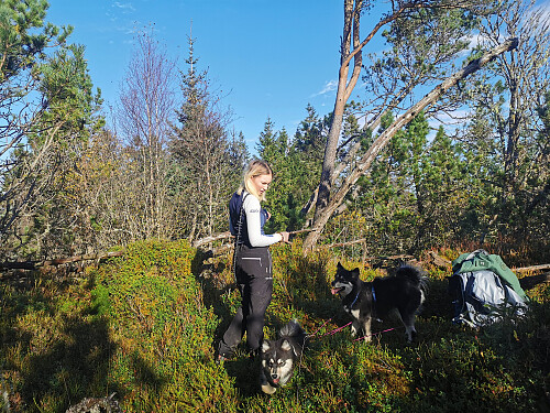 Toppen av Storenipa, 125 moh.