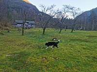 Ankommet Ytre Mosnes og sørger for trim for de lokale (apportering).