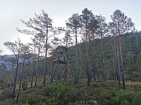 Passerte dette jakttårnet da jeg tok av fra stien.