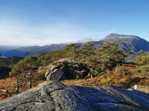 Toppen av Heia i følge kartet, 428 moh.