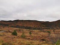 Fått øye på Steinfjellet fra grusveien.