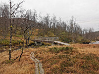 Solid bro over Furevasselva.