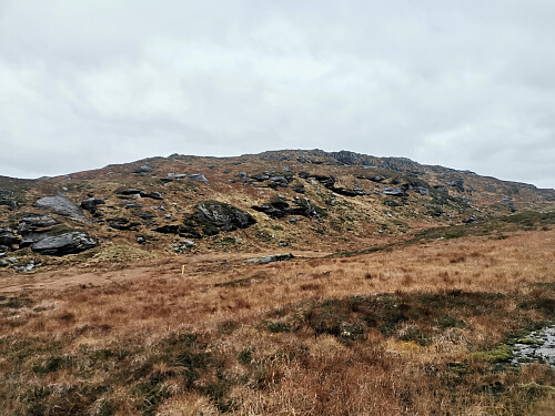 Nærmer meg siste kammen opp på Hauganuten.