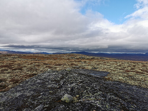 Toppen av Store Bjoreinuten 1280 moh.