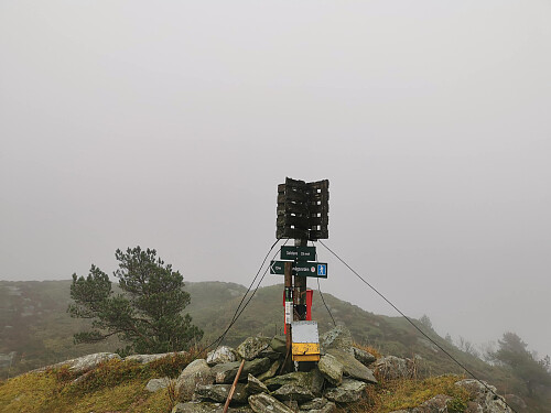 Toppen av Dalstuva, 336 moh.