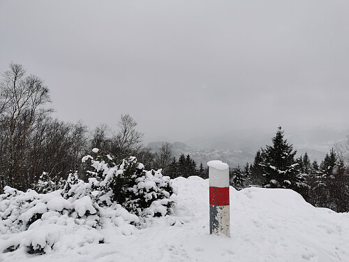 Toppen av Nonhøyen, 236 moh.