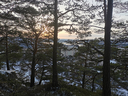 Startet og sluttet på Hesjaholtet.