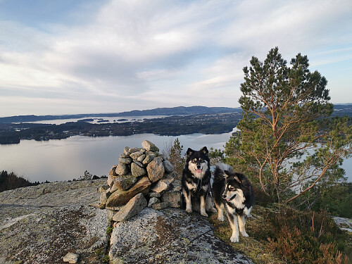 Toppen av Grønafjellet, 244 moh. 