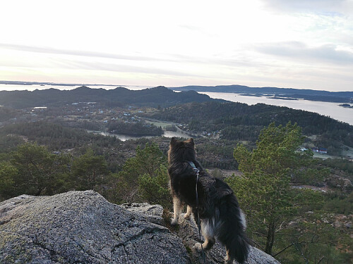 Utsikt fra Storemunken, 189 moh. 
