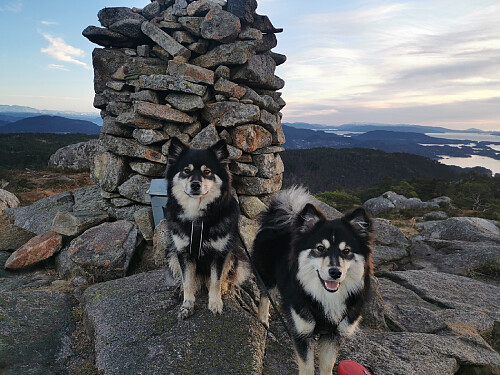 Toppen av Folldalshaugane, 300 moh.