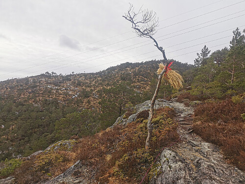Utsikt mot toppen fra rett nedenfor Erviknipa.