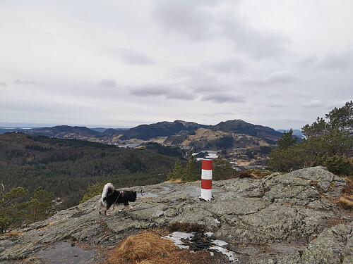 Toppen av Hetlebakksåta, 334 moh.