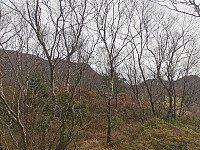 Toppen av Stemhaugen, 101 moh.