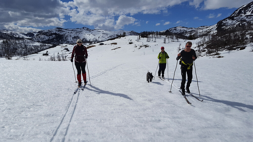 Flotte trygge renn i Lisembudalen mot Venehaug.