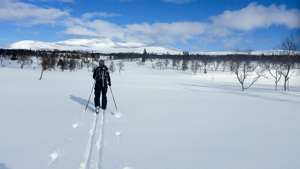 Det er lange flater før en når fjellene