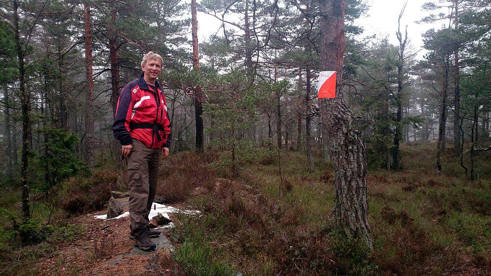 Toppunktet på Knivsfjellet