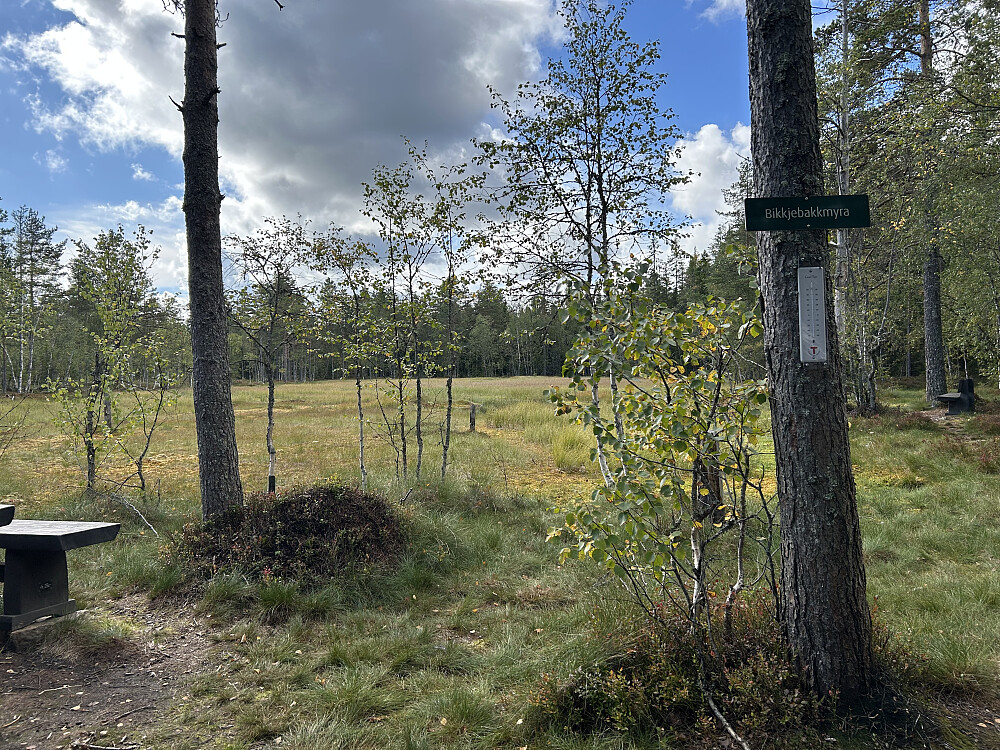 Bikkjebakkmyra