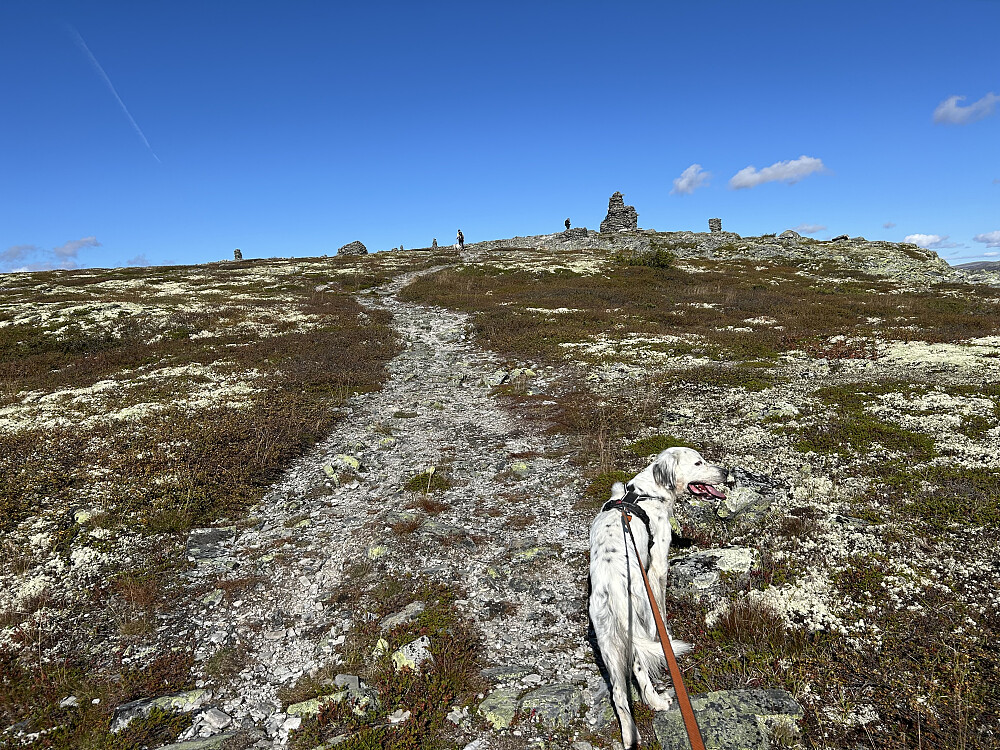 Straks på toppen av Dynjefjellet