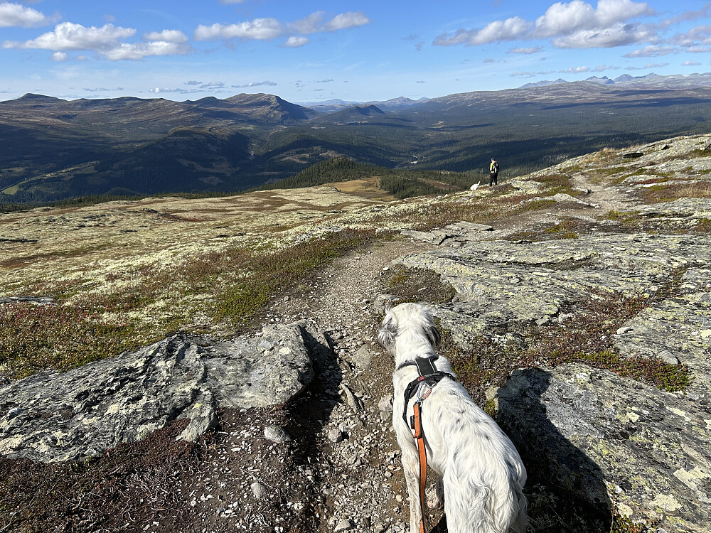 Ned fra Svartfjellet