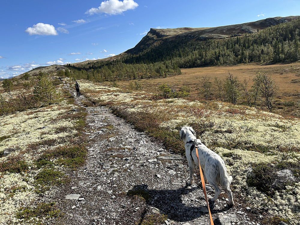 Vi har starta turen tilbake, og ser mot Svartfjellet