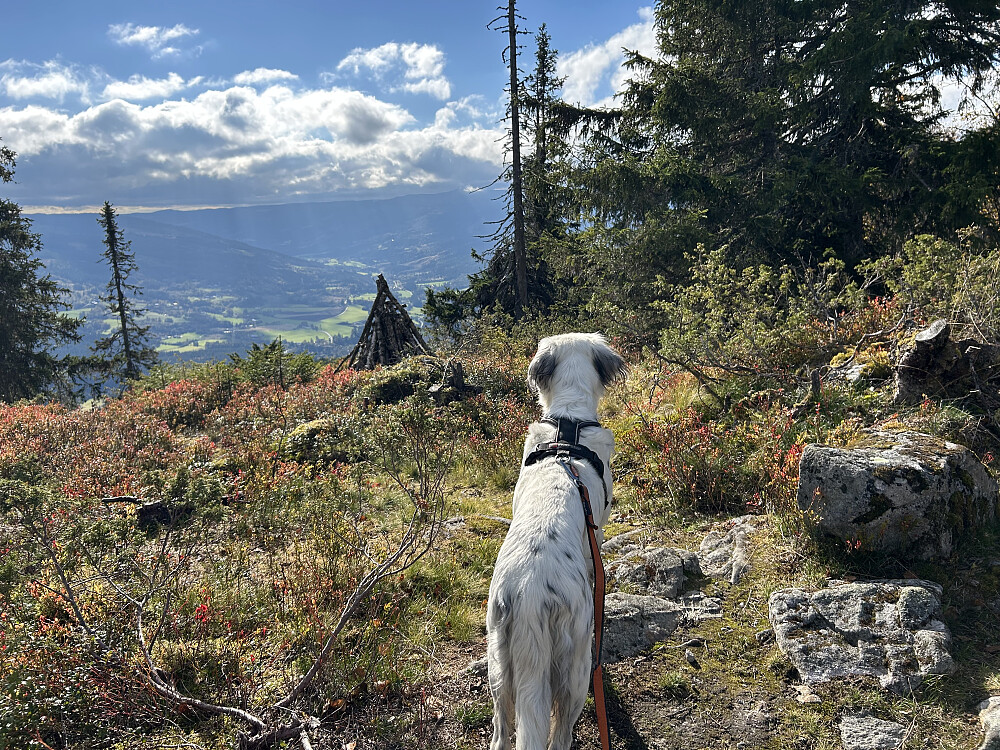 På Vardkampen
