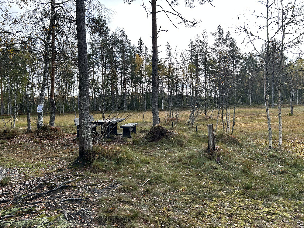 Bikkjebakkmyra