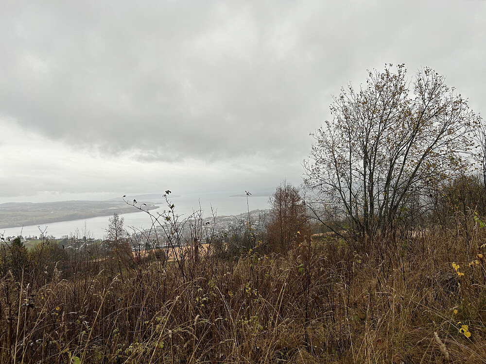 Gråværsdag på Bergstoppen