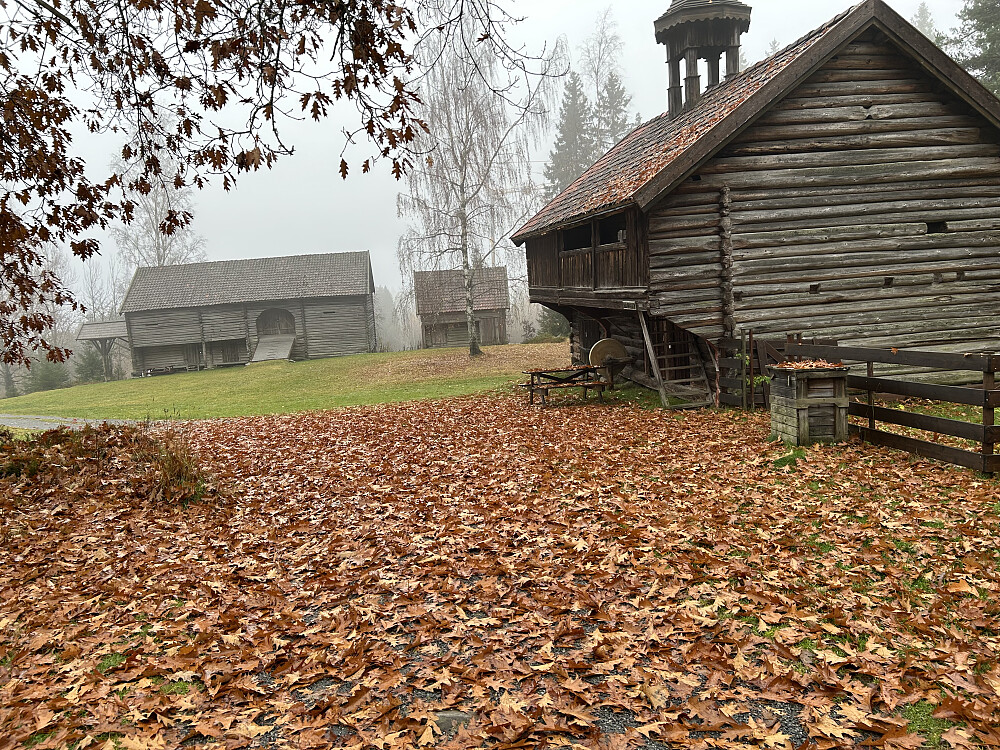 Eikeblad på bakken på Eiktunet.