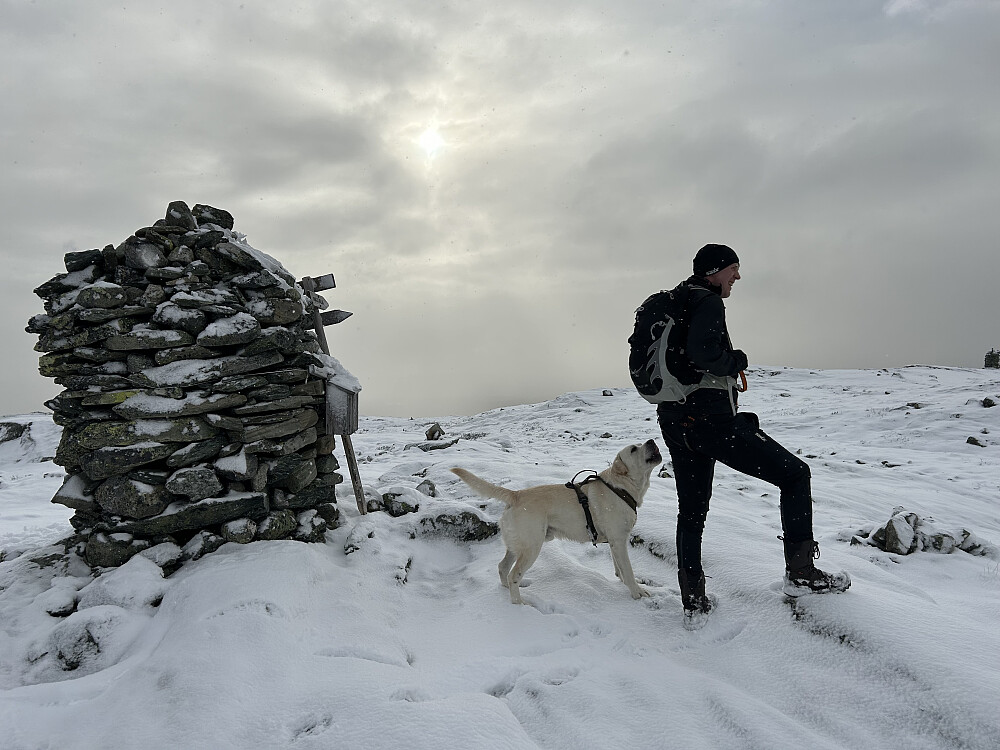 Anders og Storm på Ongsjøfjellet