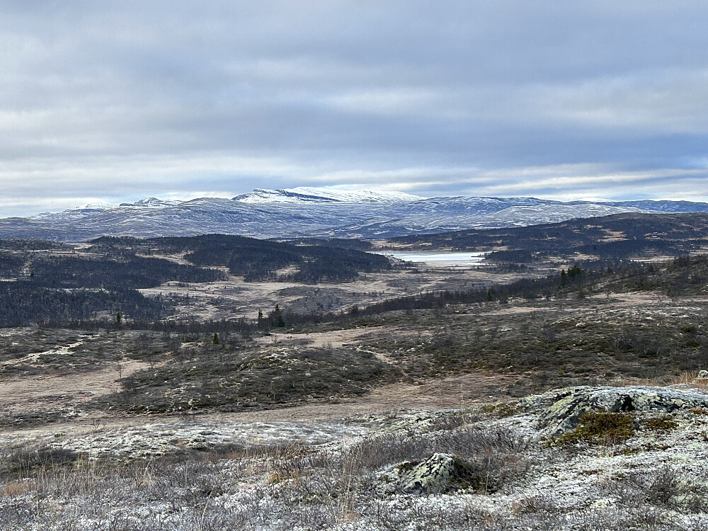 Utsikt mot Nordre Langsua