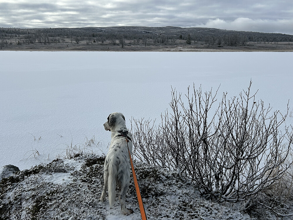 Ved Moatjønnet, Vetafjellet bak