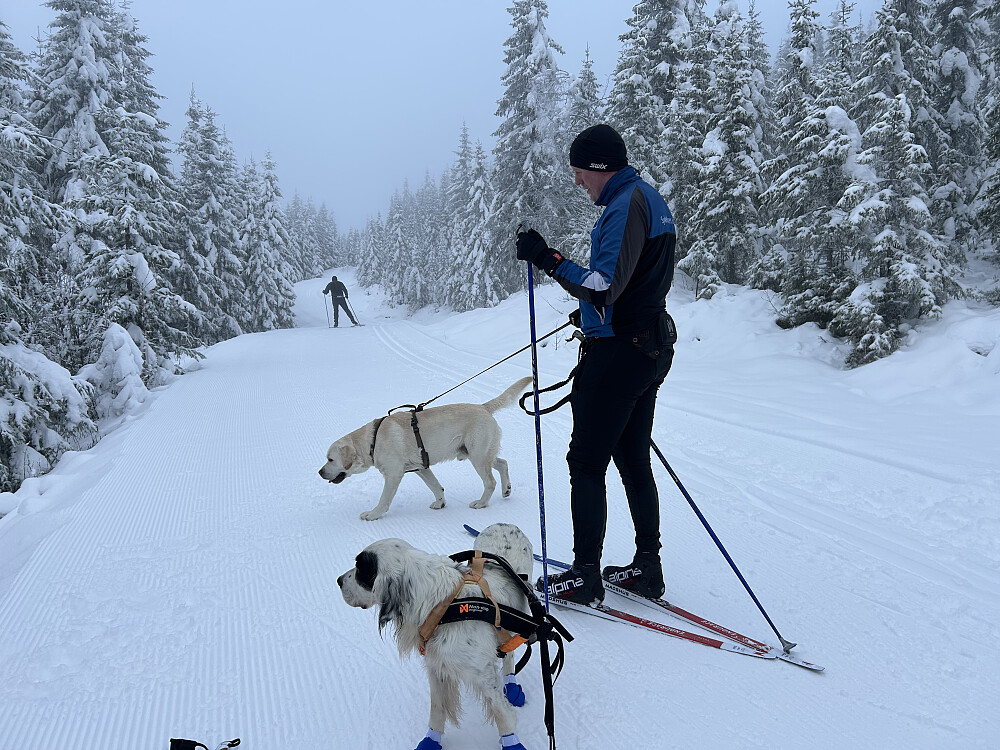 Anders, Trym og Storm 