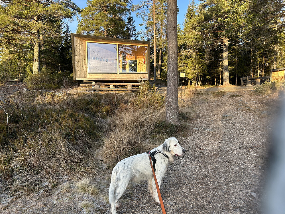 Dagsturhytta på Knapphaugen