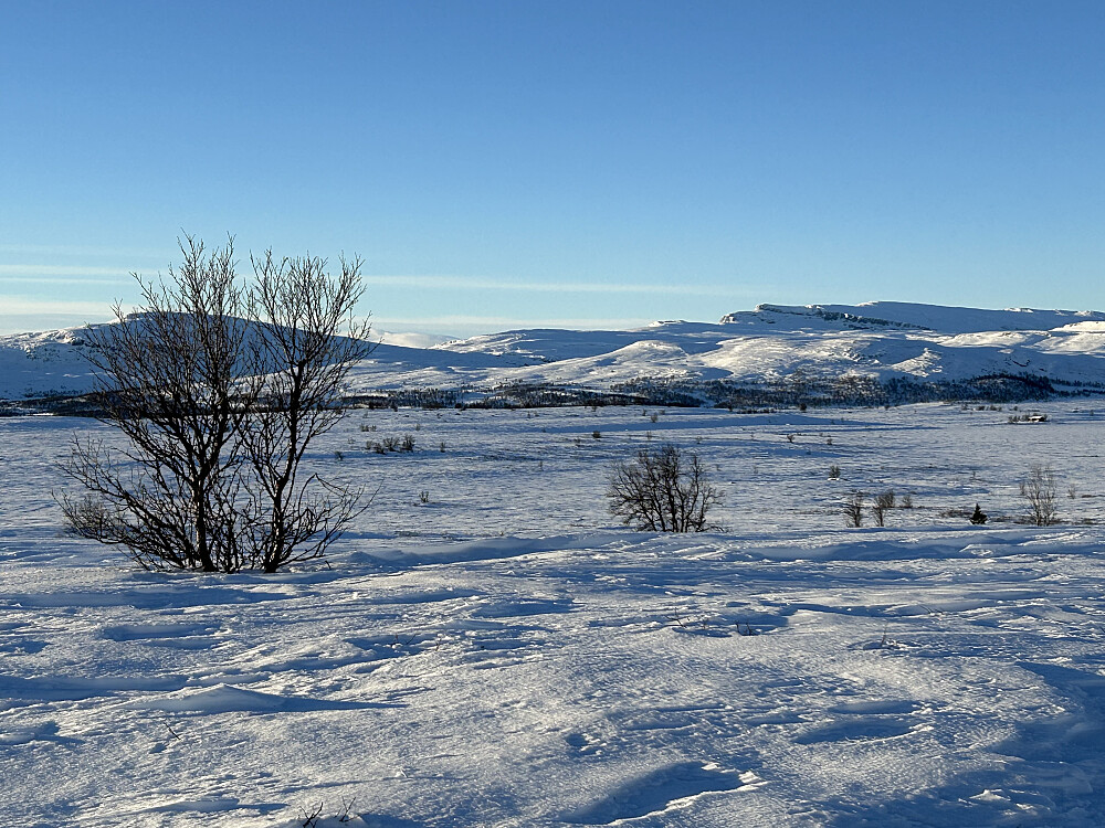 Ser mot Nonstjønnkampen og Nordre Langsua