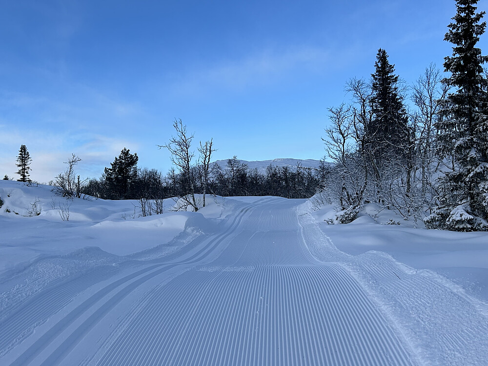Ongsjøfjellet i bakgrunnen