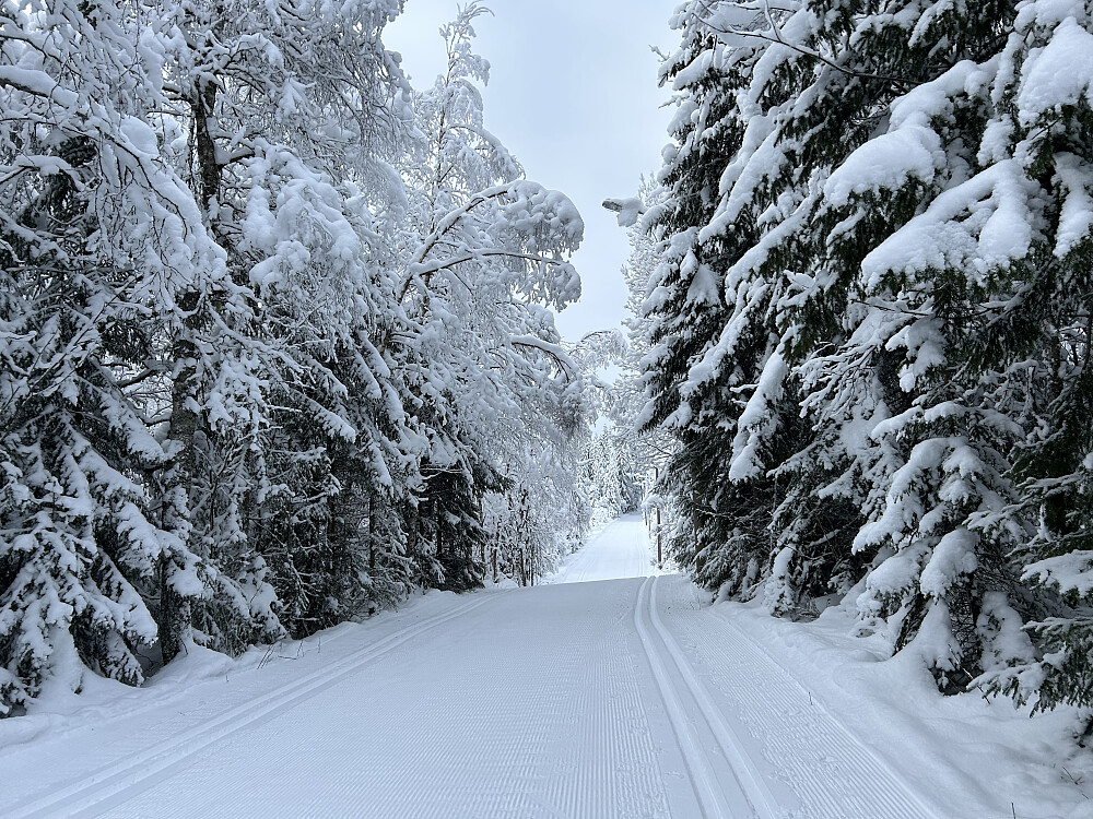 Nykjørte løyper i dag