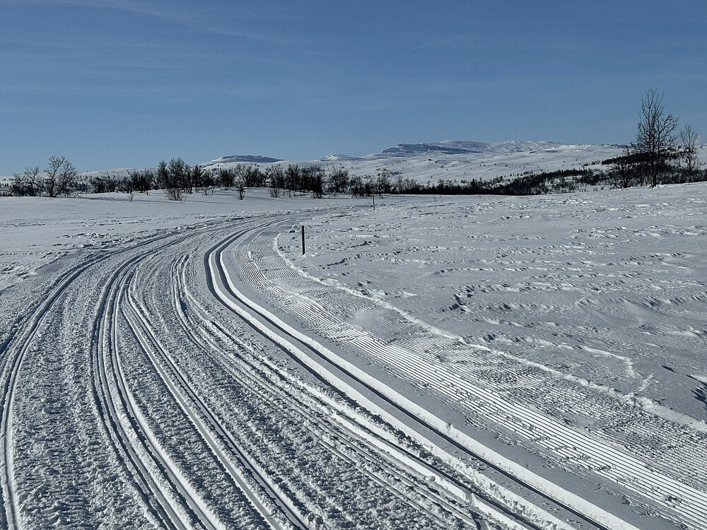 Løypa mot Ongsjølia/Leppe fra løypekrysset med Vetafjellet rundt og Liumseter